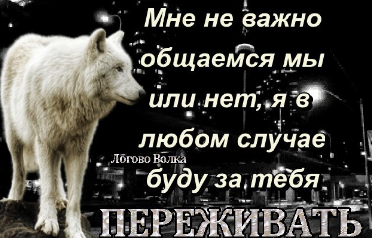 Фото Есть Повод