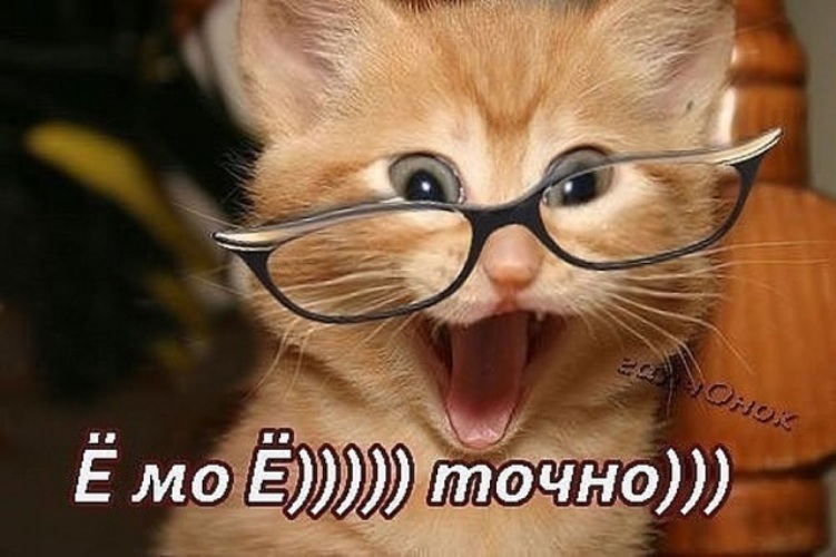 Картинки это точно про меня