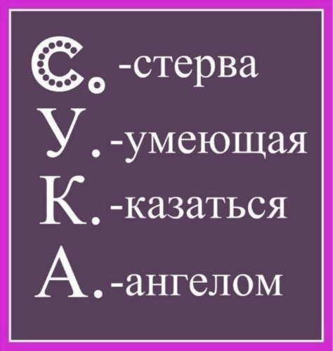 Как можно заменить слово сука Лента по интересам - Юмор - 1421304 - Tabor.ru