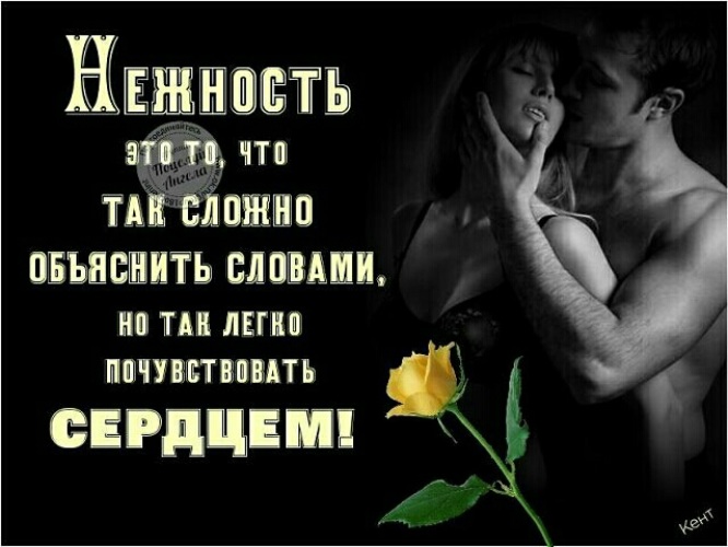 Любовь И Секс Разные Вещи Любовь И Секс Разные Вещи