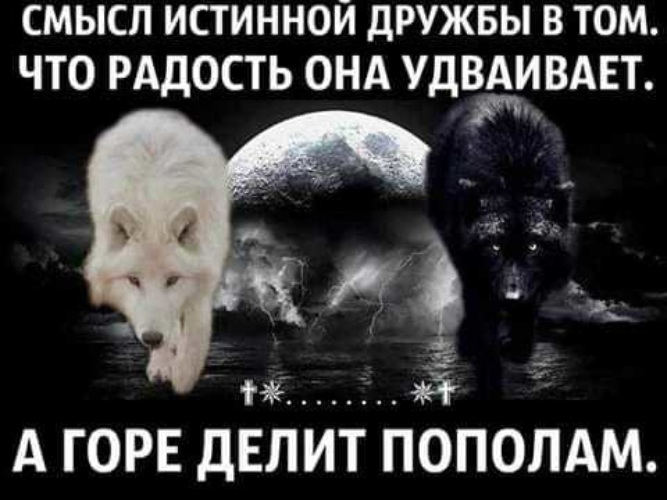 Что такое истинная дружба. Смысл истинной дружбы в том что радость. Дружба удваивает радости. Дружба удваивает радости и сокращает наполовину горести. Цитата смысл истинной дружбы в том что радость она удваивает а.