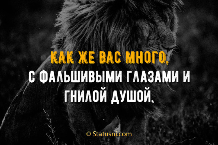 С такими родственниками и врагов не надо картинки