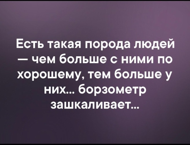 Разные собаки. Есть такие породы. Есть такая порода людей чем больше. Высказывания о подлых людях. Афоризмы про наглость.