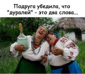 1356898_295x460.jpg