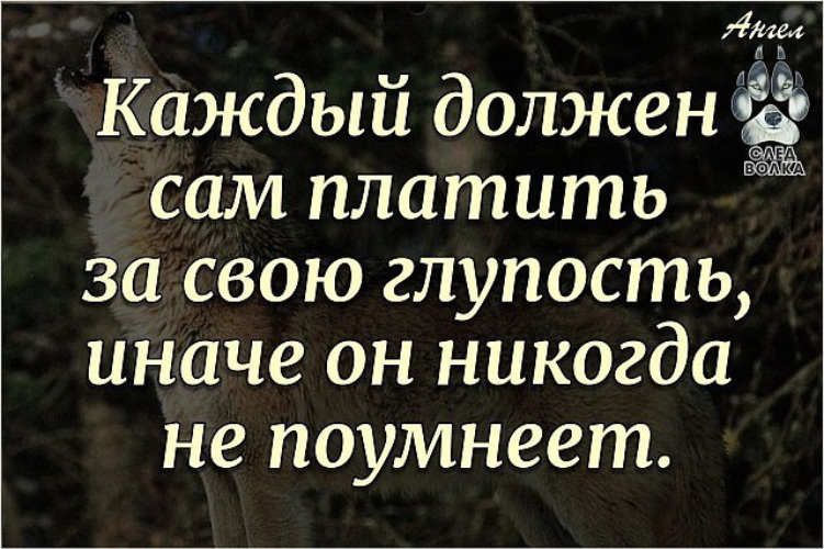 Всякий должен. Каждый должен сам платить за свою глупость иначе. Каждый должен сам платить. Каждый должен платить за свою глупость. За глупость надо платить.