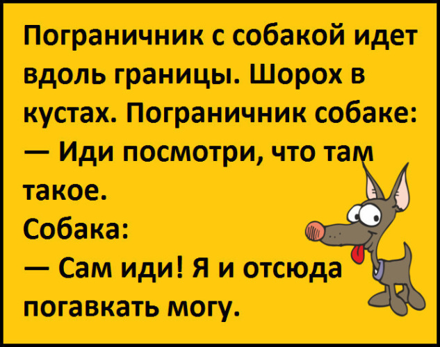 шорох в кустах. верный ёжик ганс фаллада иллюстрации. шорох кустов. время тигра. шорох кустов.