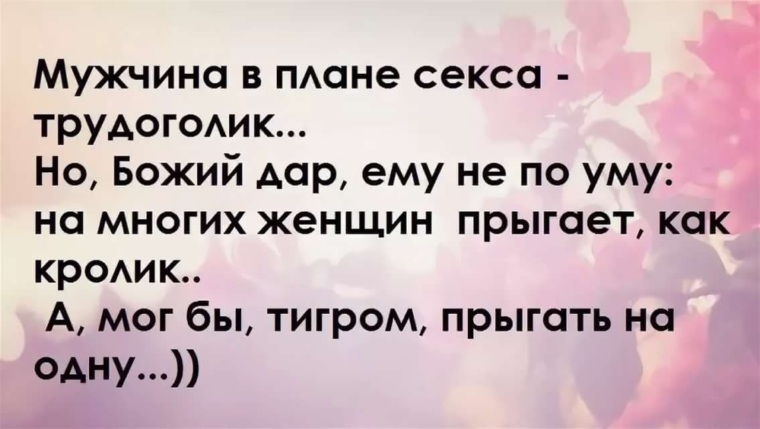 Прикольные афоризмы про жизнь с картинками, зимних