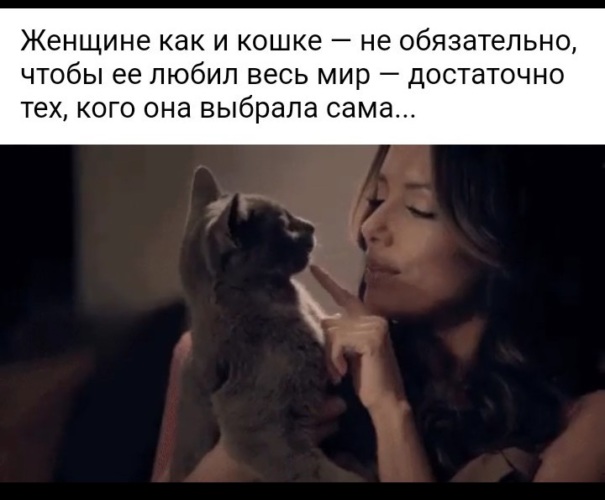 Игривая кошечка дожидается возбужденную подругу