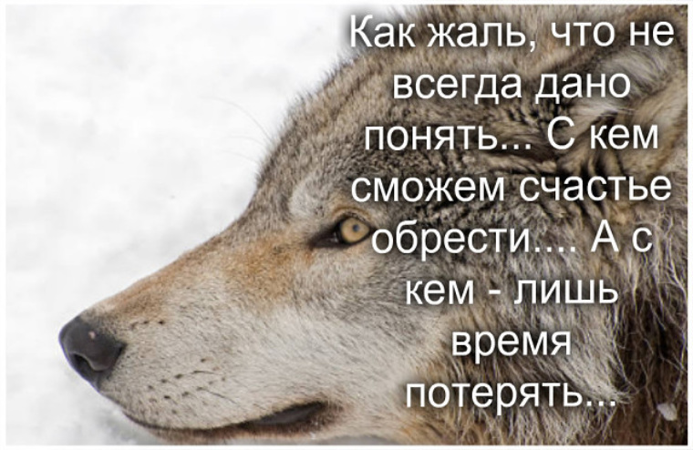 Февраля для, жаль что так вышло открытки