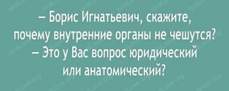 Зачем внутренний. Почему внутренние органы не чешутся. Внутренние органы чешутся.