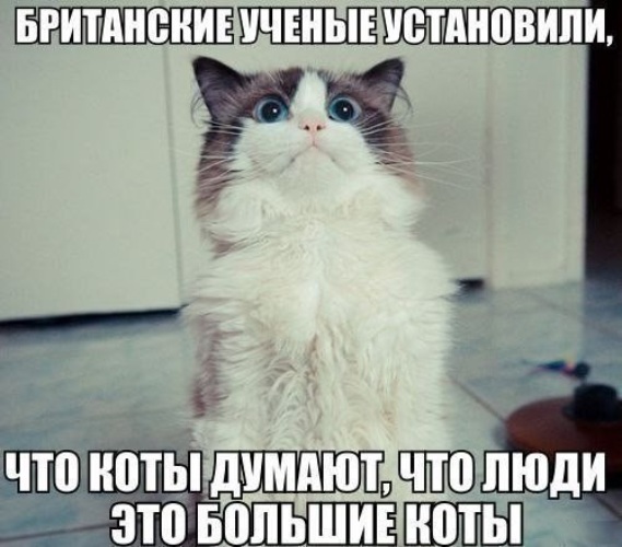 Резултат с изображение за „шутки“