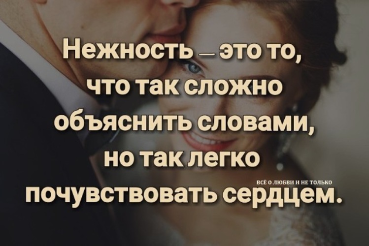 Нежность это определение. Афоризмы о нежности и любви. Фразы о нежности. Цитаты о нежности и любви. Нежность статусы и высказывания.