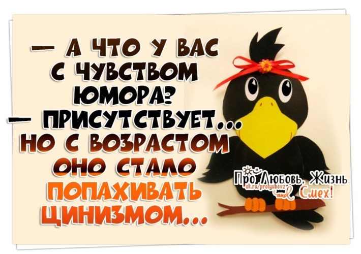 Открытка с чувством юмора, кота шрека глазами