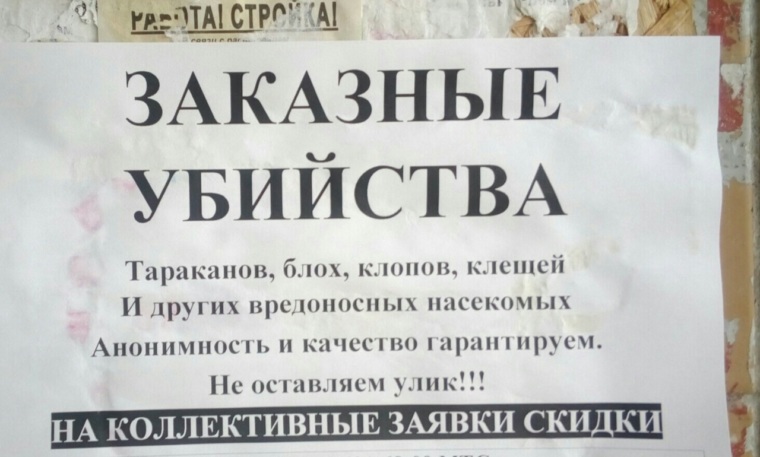 Служба по убийству тараканов и клопов