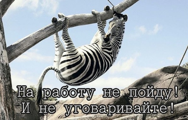 Смешные картинки иду на работу, картинки днем рождения
