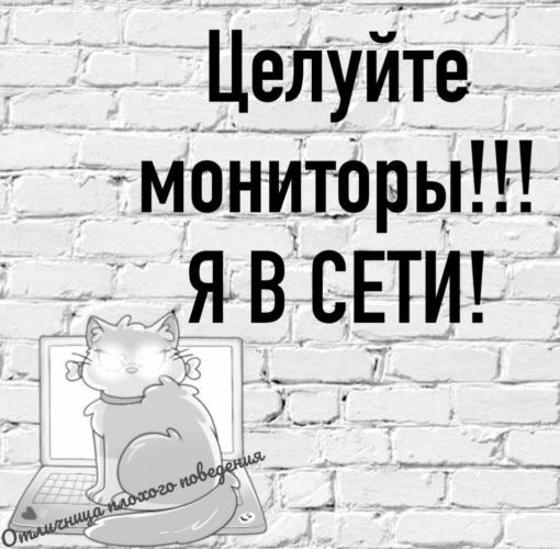 Целуйте мониторы я в сети. Целуй монитор я в сети. Целуйте мониторы я в сети приколы. Целуйте мониторы я в сети картинки