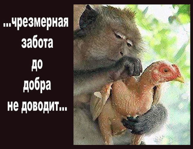 Заботливый мужчина цитаты. Как надо заботиться о своей душе. А с чего такая забота. Забота мужчины цитаты. Забота у нас такая текст.