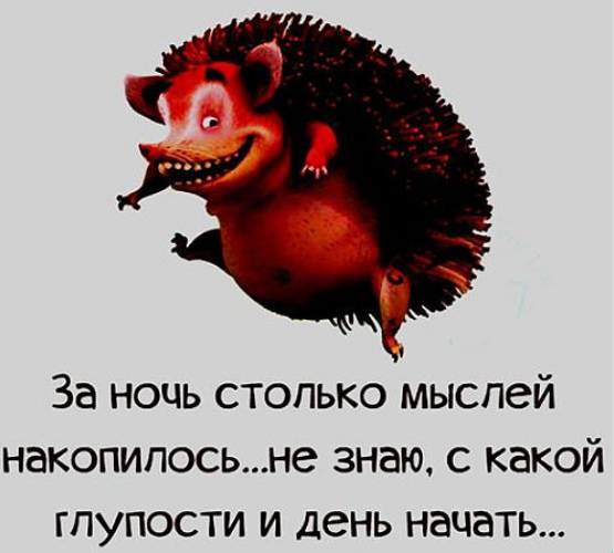 За ночь столько мыслей накопилось даже не знаю с какой глупости день начать картинки