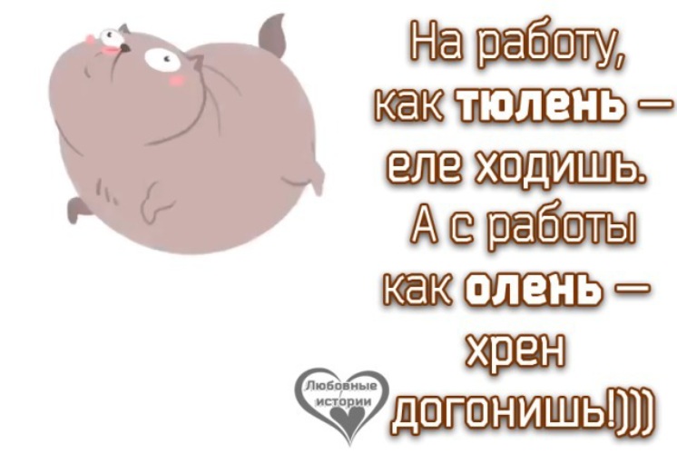 Еле ходит. На работу как тюлень. На работу как тюлень еле ходишь. На два дня на два дня отвалите от меня. На работу как тюлень а с работы.