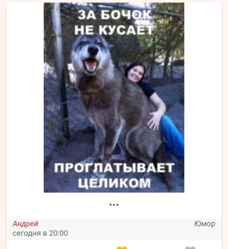 Лесби Сайт Белгород