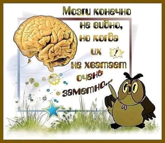 Конечно пусть. Не хватает мозга. Мозги конечно не видно. Мозги конечно не видно но когда. Когда мозгов не хватает.