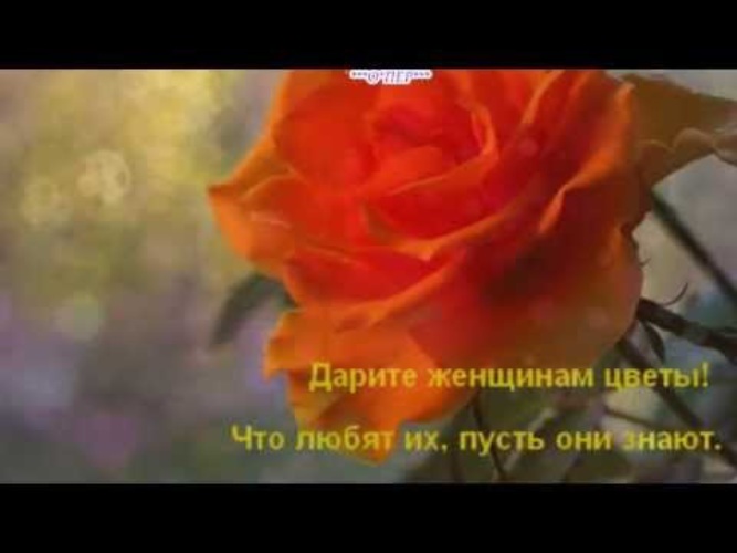 Слова песни дарите женщинам цветы без повода