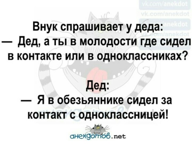 За контакт с одноклассницей анекдот. Анекдот сидел за контакт с одноклассницей. Анекдоты сидели в обезьяннике за контакт с одноклассницей.