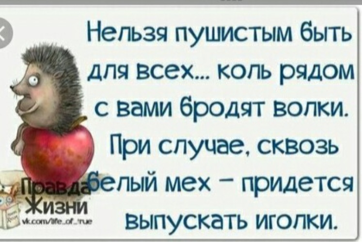 Пушистым быть нельзя растащут на воротн ки. Нельзя быть белой и пушистой для всех растащат на воротники. Для всех нельзя быть пушистой растащат на воротники. Для всех нельзя быть пушистой растащат на воротники. Увеличить нельзя и уменьшить нельзя.