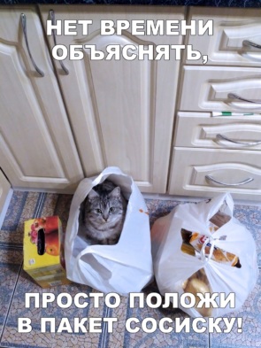Інновації "русского мира", Конституція - не рояль! Свіжі ФОТОжаби від "Цензор.НЕТ" - Цензор.НЕТ 6410