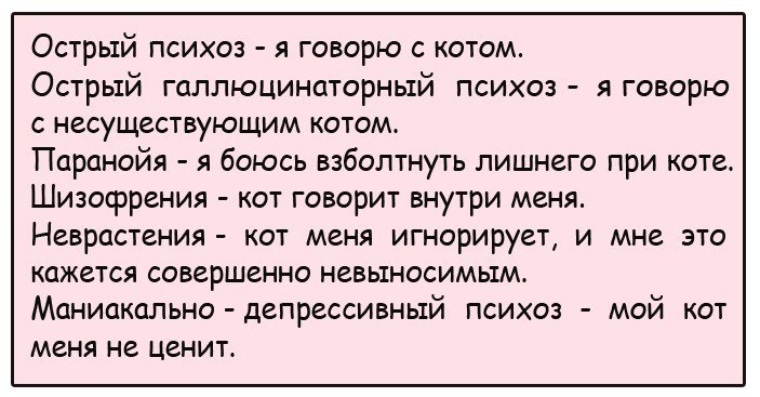 Але говорит со мной по русски. Мой кот меня игнорирует шизофрения. Острый психоз я разговариваю с котом. Я разговариваю с котом шизофрения. Шизофрения с котом кот говорит с тобой.