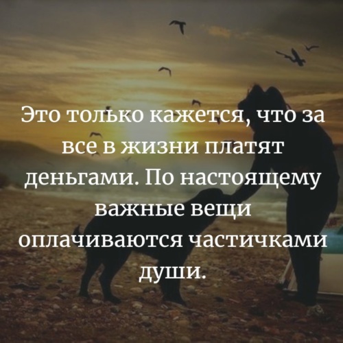 Пойду схожу. Стихотворение за счастьем на базар. Стихотворение счастье на базаре. Пойду схожу за счастьем на базар. Стих счастье на базаре не.