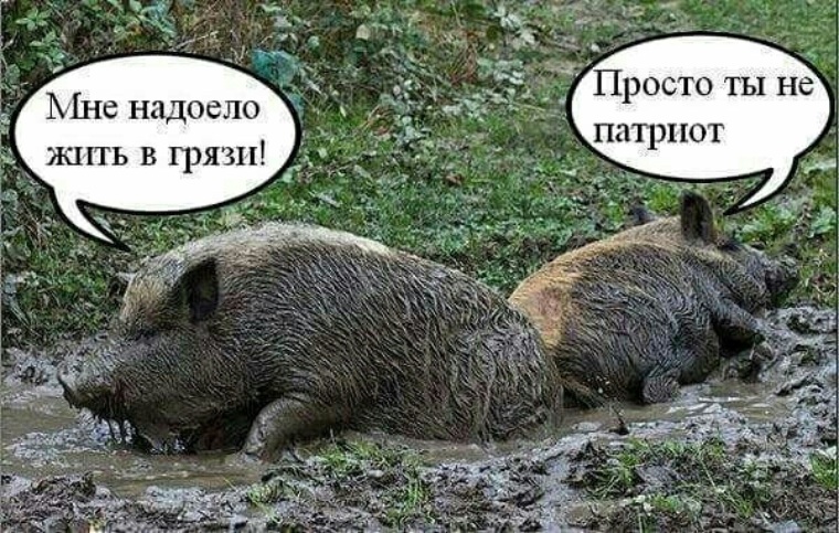 Надоело жить картинки