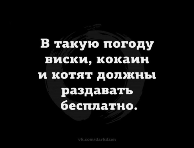 В такую погоду виски пледы и котов должны раздавать бесплатно картинки