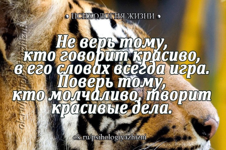 Стихи не верь словам. Красивые слова. Я выберу того кто молча делает дела. Поверь тому кто молчаливо творит красивые дела. Не верь тому кто говорит красиво в его словах всегда игра поверь.