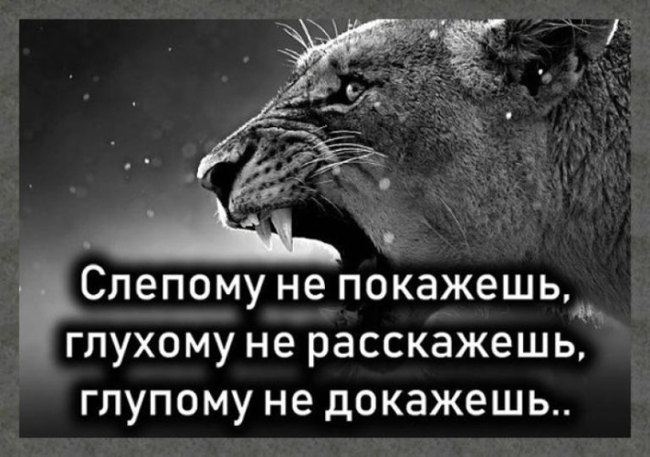 Целый доказывать. Глухому не расскажешь слепому не покажешь долбаебу не докажешь. Глухому не расскажешь. Слепому не покажешь глухому. Глупо доказывать.