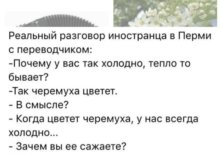 Песня зачем цвели обман цветы. Приколы про черемуху. Почему у вас холодно черемуха цветет. Анекдот про черемуху. Почему холодно когда цветет черемуха.