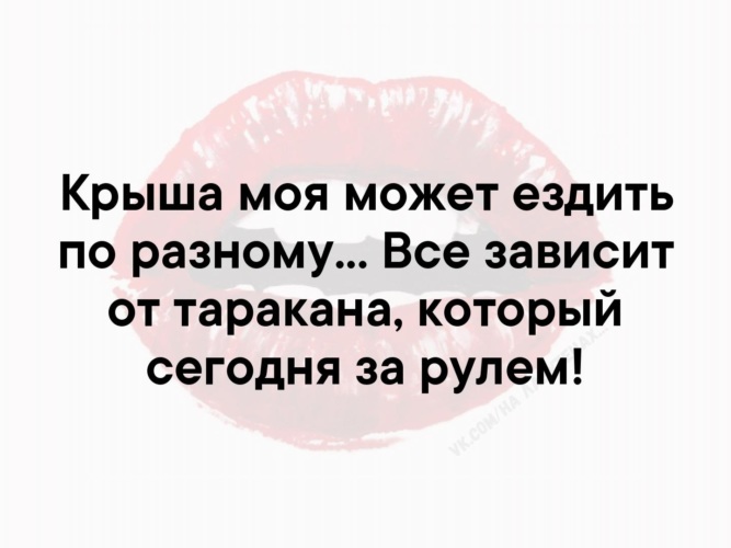 Моя крыша может ездить по разному все зависит от таракана который сегодня за рулем картинки