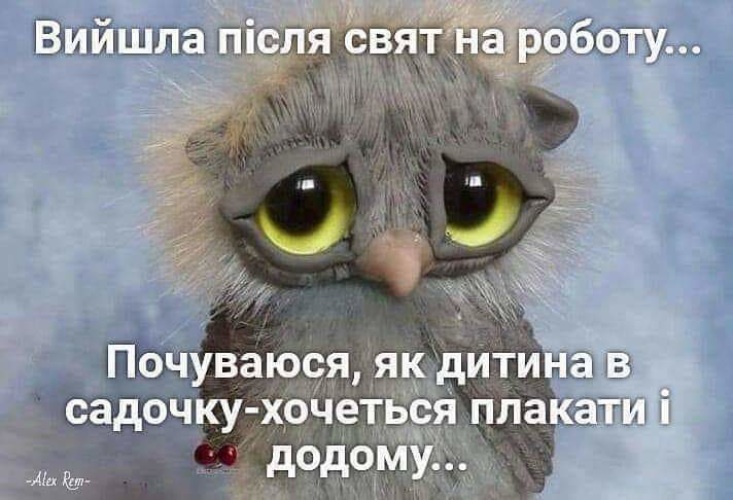 Сова плачет картинки