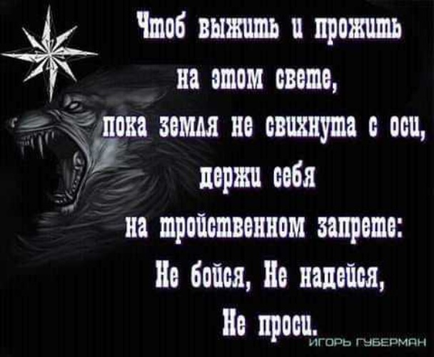 Не верю не боюсь не прошу. Не верь не бойся не проси стих. Не проси не бойся не жалей. Цитата не надейся не проси. Не бойся не надейся не проси картинки.