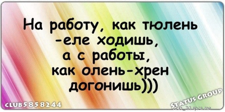 Еле ходит. На работу как тюлень еле ходишь. На работу как тюлень еле ходишь а с работы как олень. Еле идет на работу.