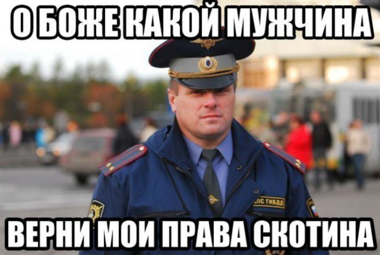 Смешные картинки гаи сдача экзаменов