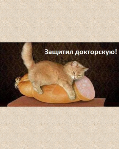 Защита докторской картинки