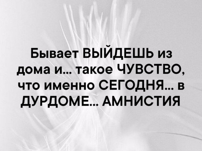 Бывало выйдешь. В дурдоме амнистия. Бывает выйдешь на улицу такое чувство что ты в дурдоме. Ощущение что живу в дурдоме. Выйдешь бывало.