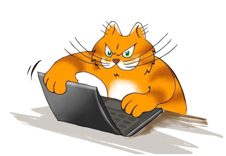 Кот мотя жж