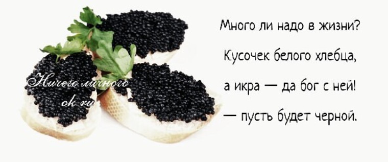 Кусочек жизни