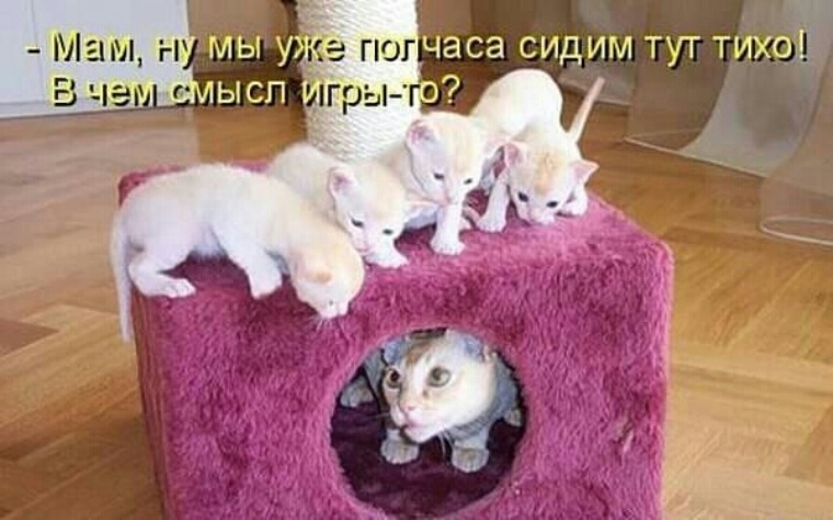 А почему здесь так тихо