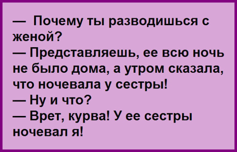 Зачем ты разведешься. Чердак развелся с женой. Анекдоты причина развода.