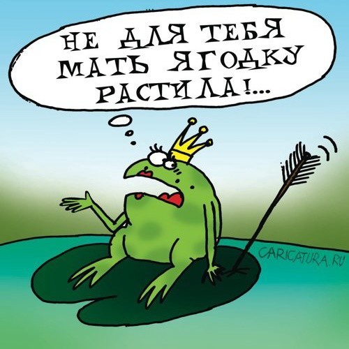 Надписью ваши, смешные картинки про царевну