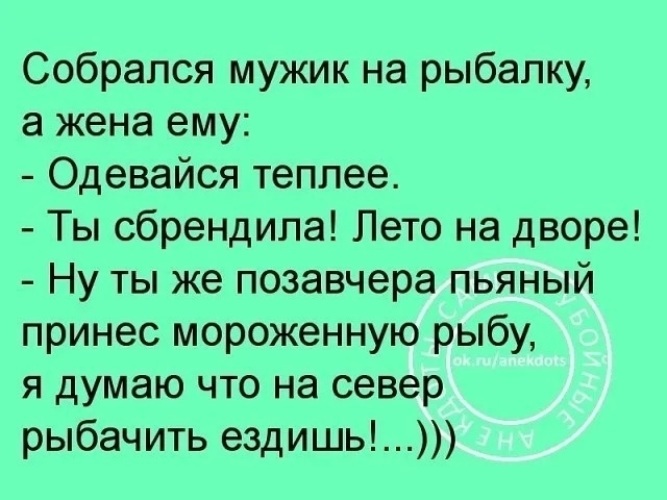 Собирались мужики. Баянистые анекдоты. Баянистый анекдот. Жена приходит домой с рыбалки. Собирается мужик на рыбалку и говорит жене.