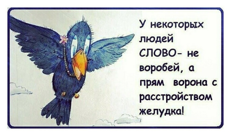 Не воробей вылетит не поймаешь. Слово не Воробей. Слово не Воробей прикол. Слово не Воробей а Воробей не слово. Слово не Воробей высказывания.